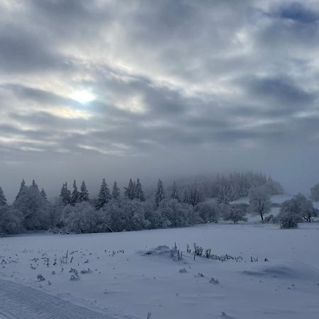 Jirotovy Boudy I Villa Telnice Exteriör bild